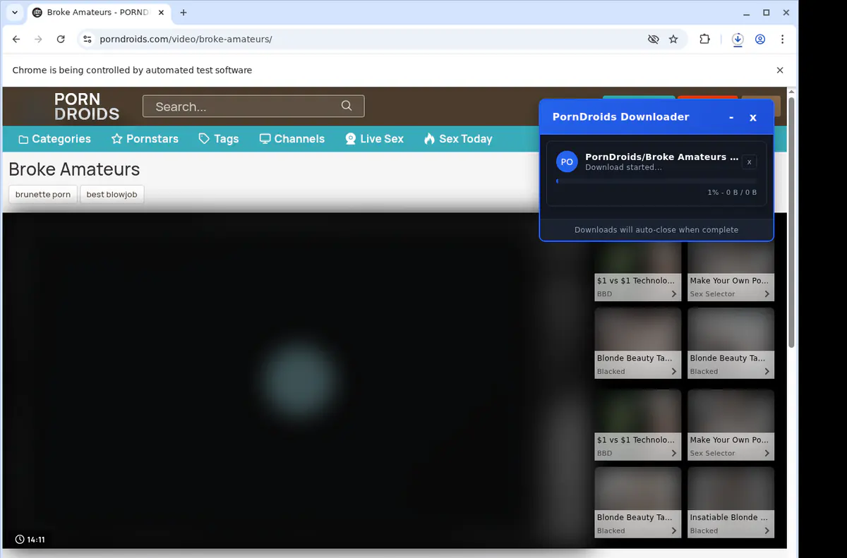 Porndroids Video Downloader screenshot 2