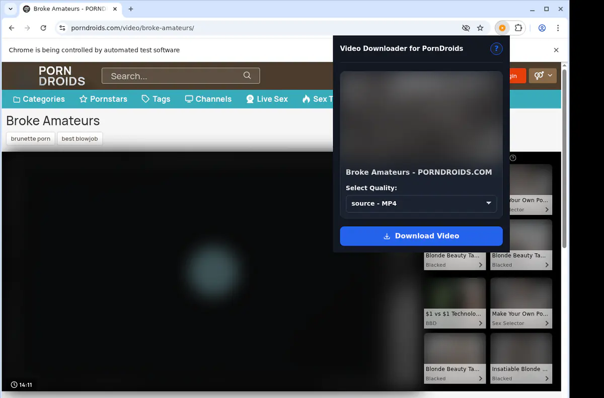 Porndroids Video Downloader screenshot 3